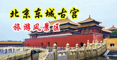 鸡巴操蛋视频高潮中国北京-东城古宫旅游风景区